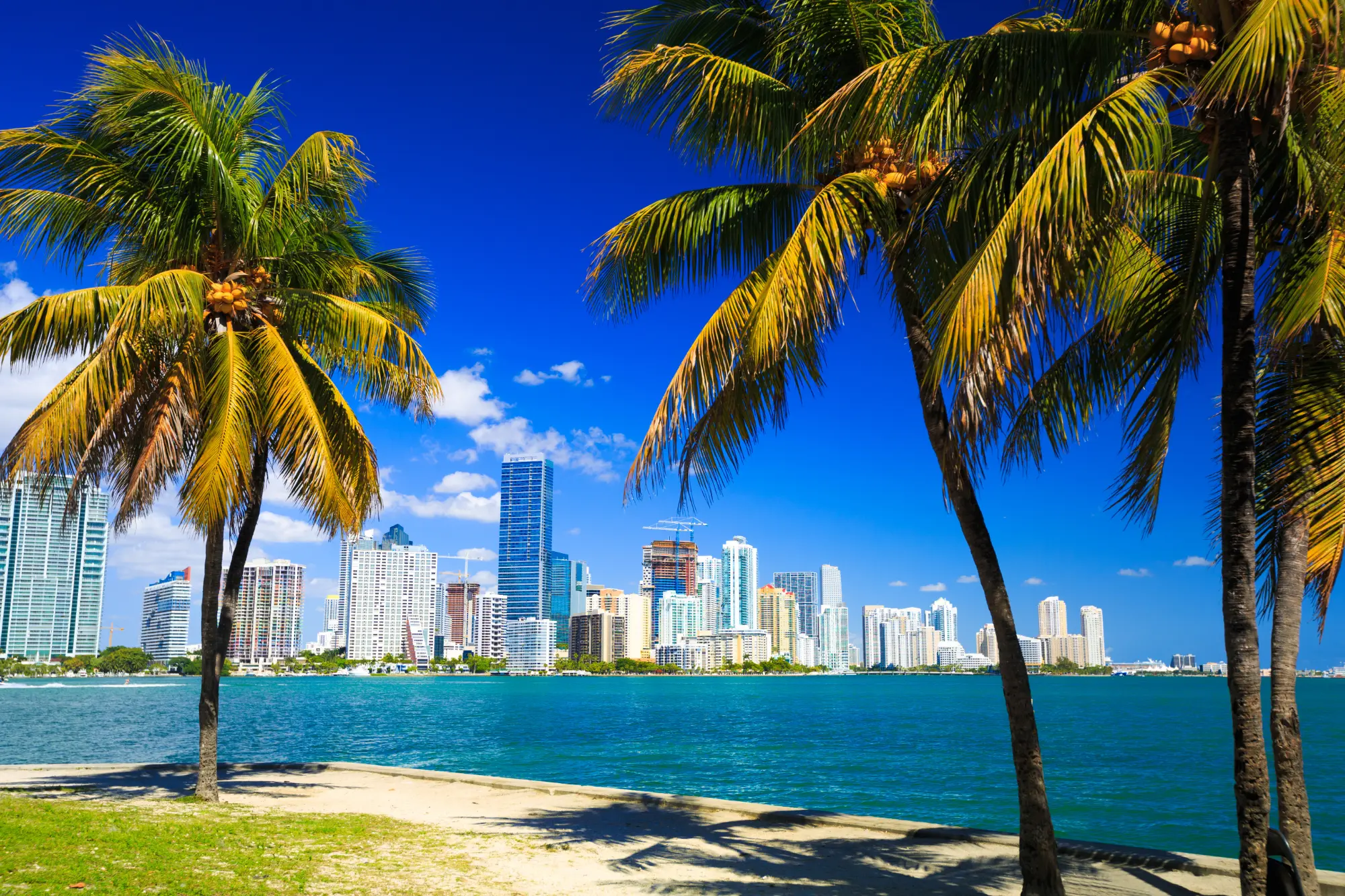 Get More Booked Jobs From Your Miami Marketing Budget