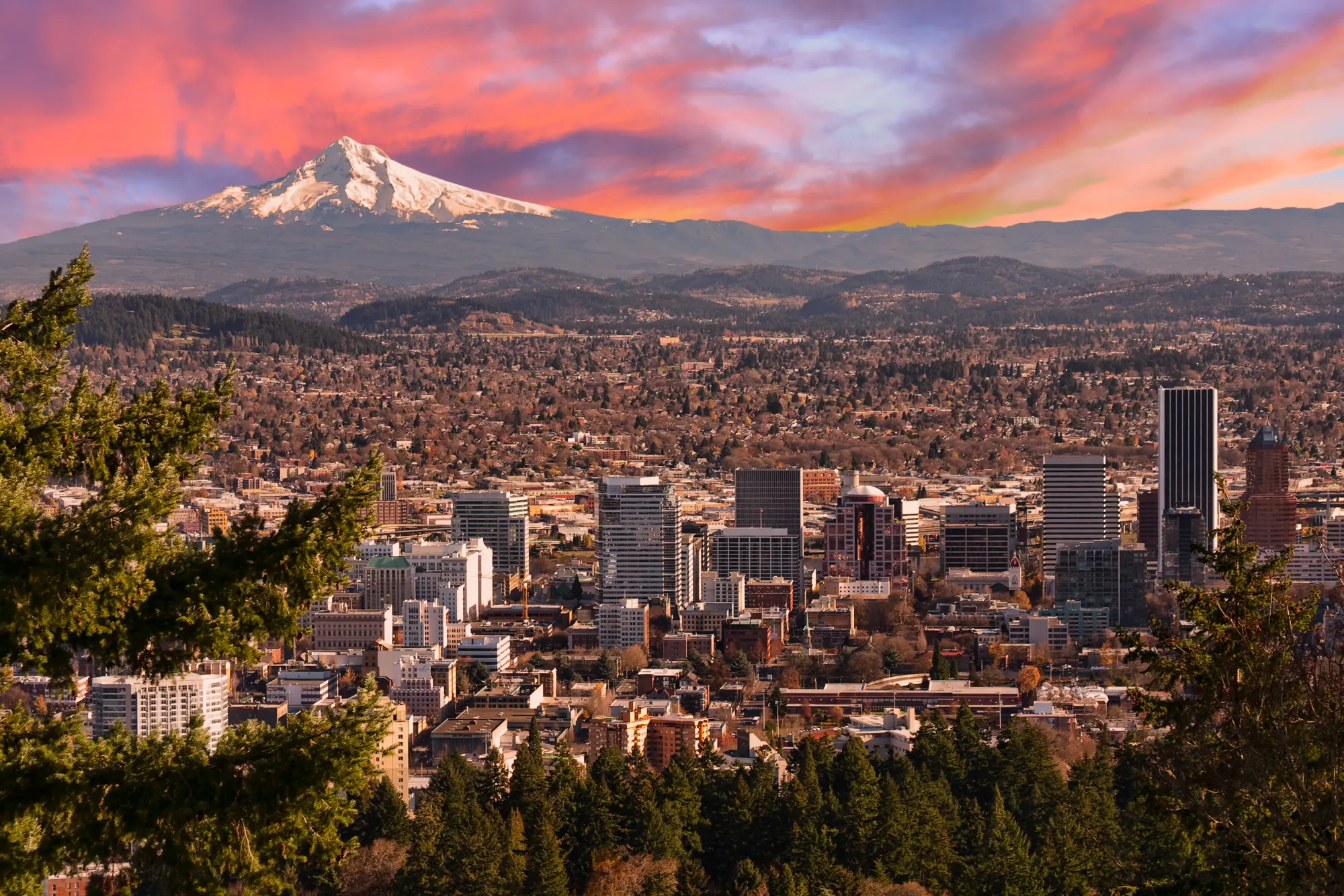 Scale Your Portland Home Services Business