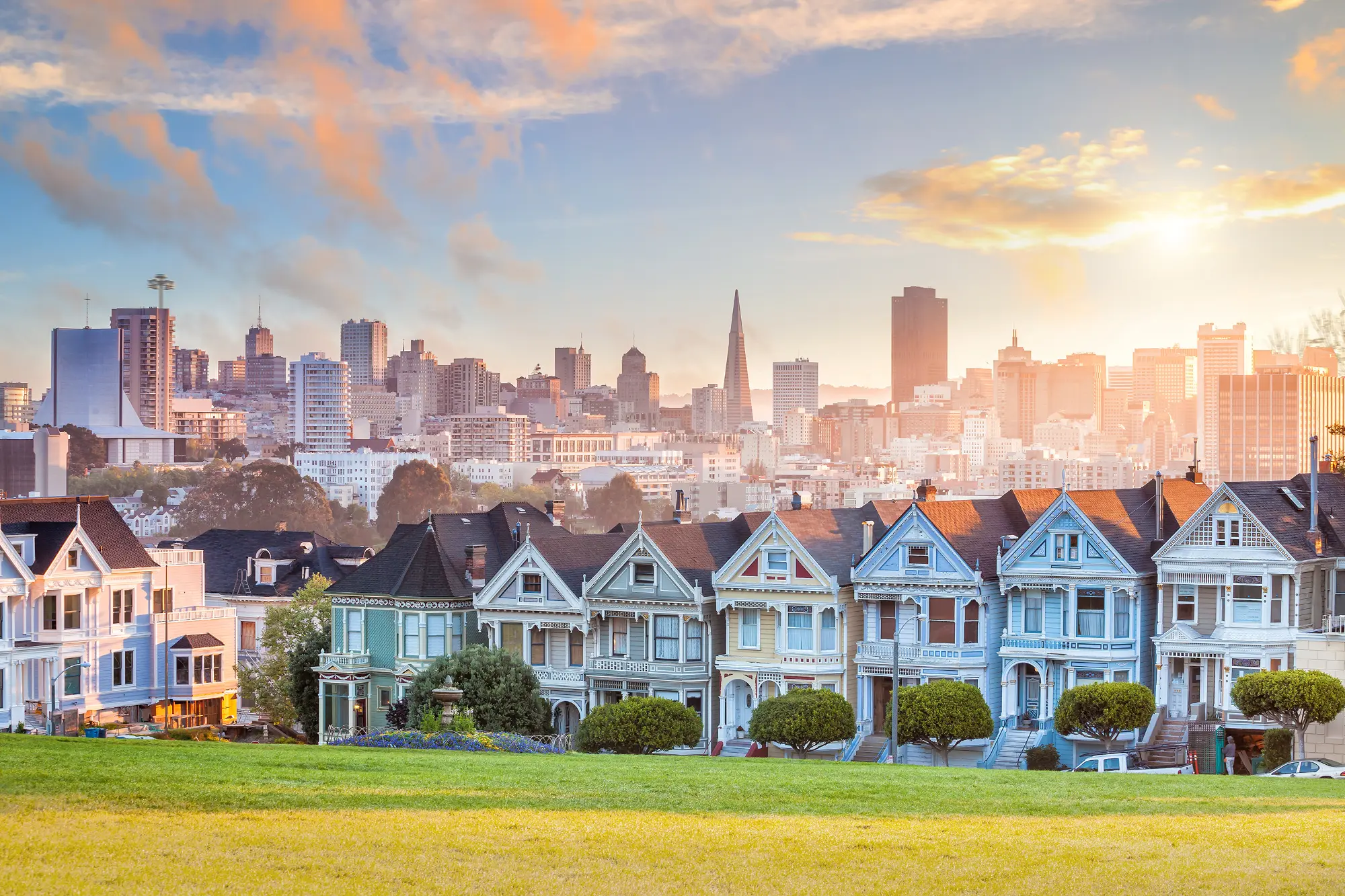 Dominate the Entire Bay Area